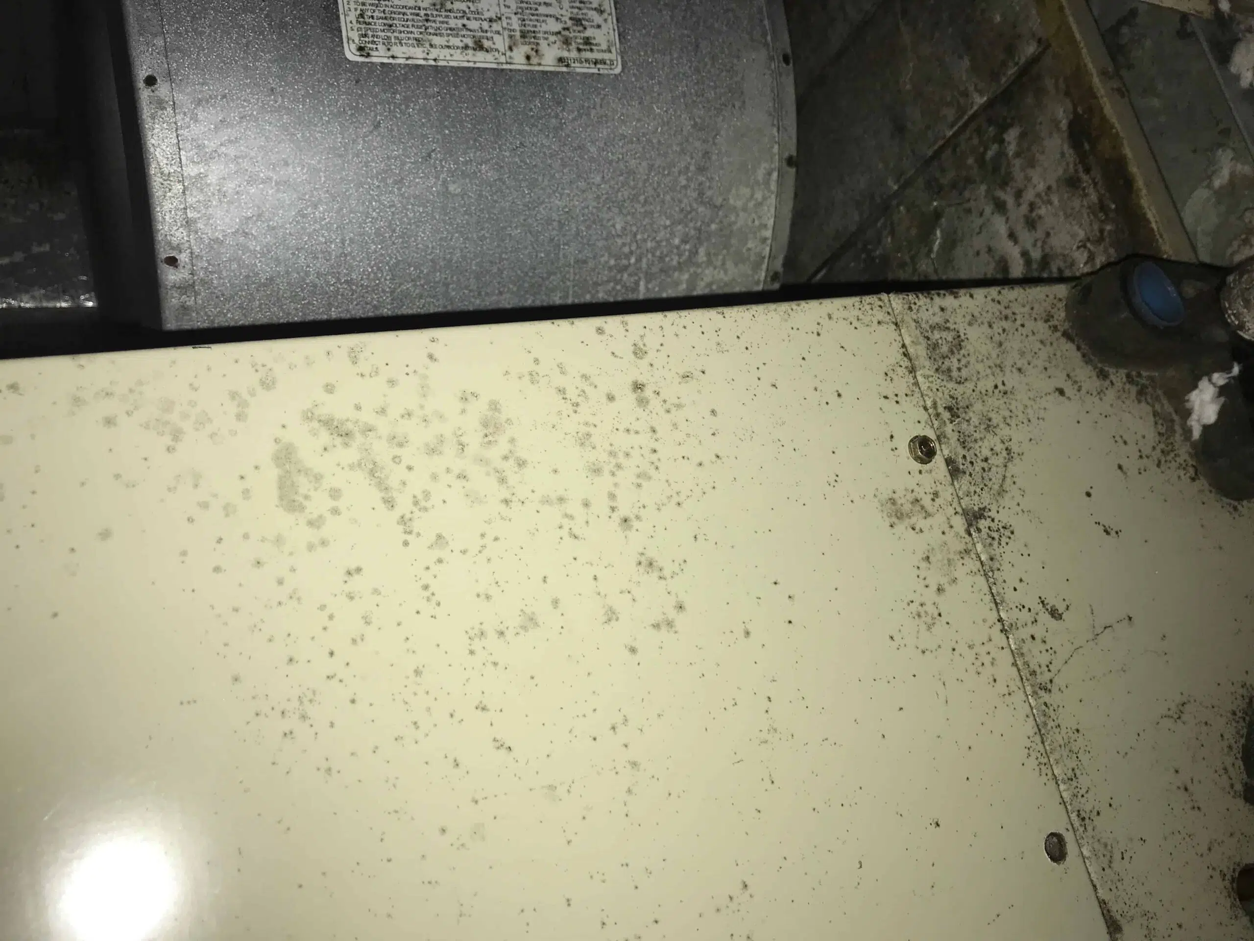 hvac评论的顶级最佳紫外线灯雷竞技raybat苹果