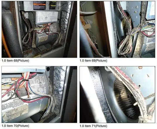 home mold inspection