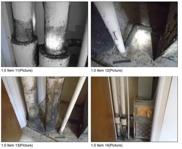 home mold inspection