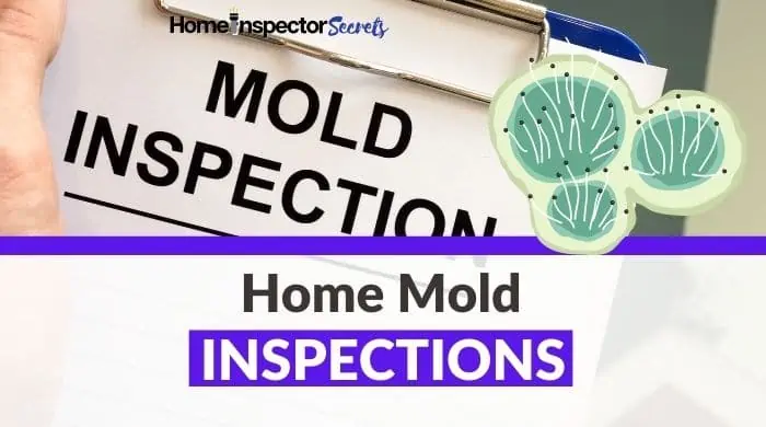 home-mold-inspection-cost-testing-1-1